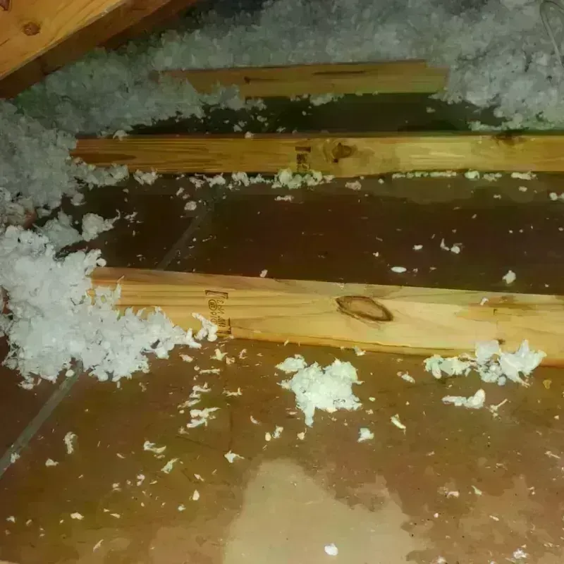 Attic Water Damage in Woodward, IA