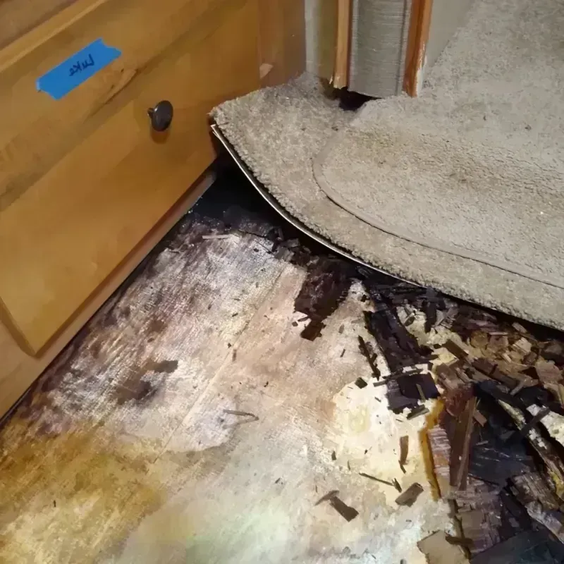 Best Wood Floor Water Damage Service in Woodward, IA